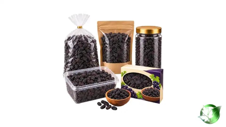 خرید عمده کشمش سیاه