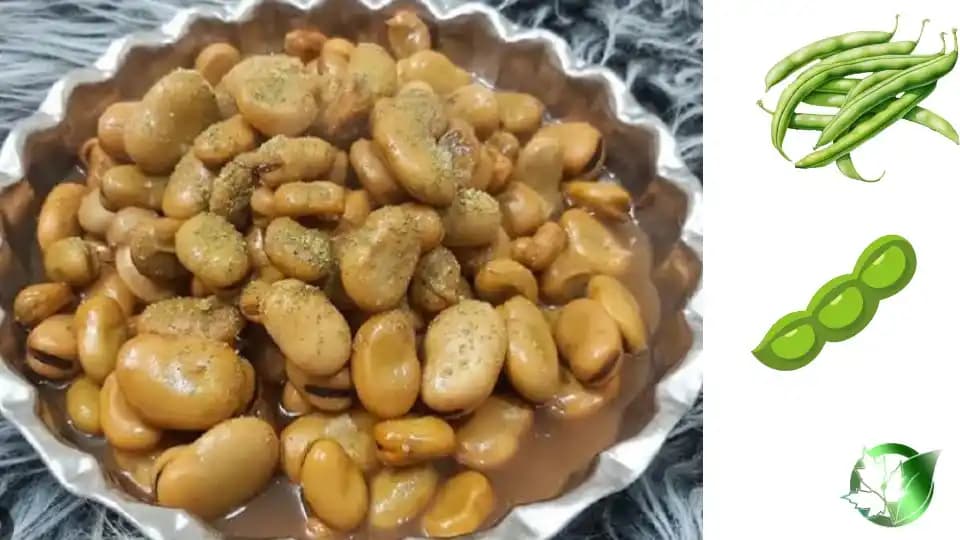کنسرو باقلا - تصویر 4