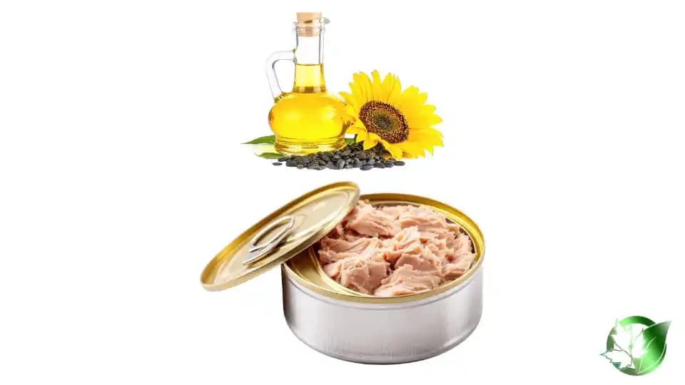 خرید عمده تن ماهی در روغن آفتابگردان