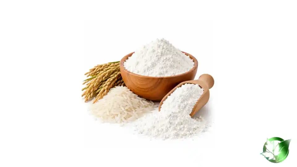 خرید عمده آرد برنج