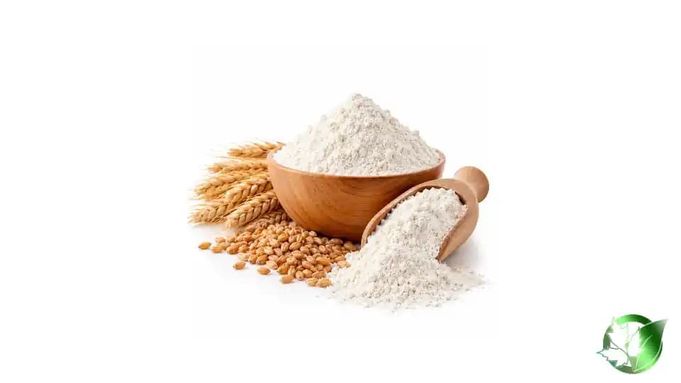 خرید عمده آرد گندم