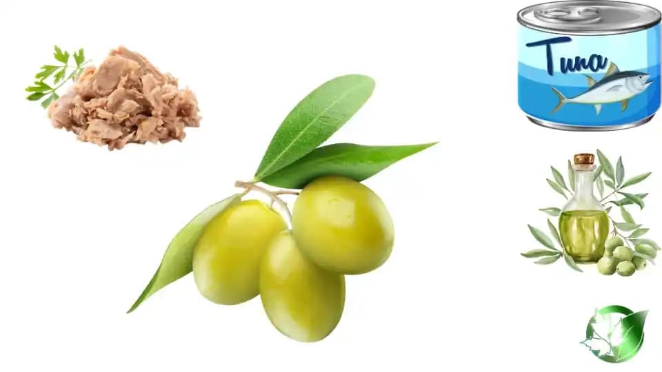 تن ماهی در روغن زیتون - تصویر 3