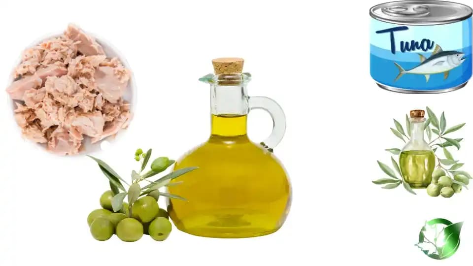 تن ماهی در روغن زیتون - تصویر 5