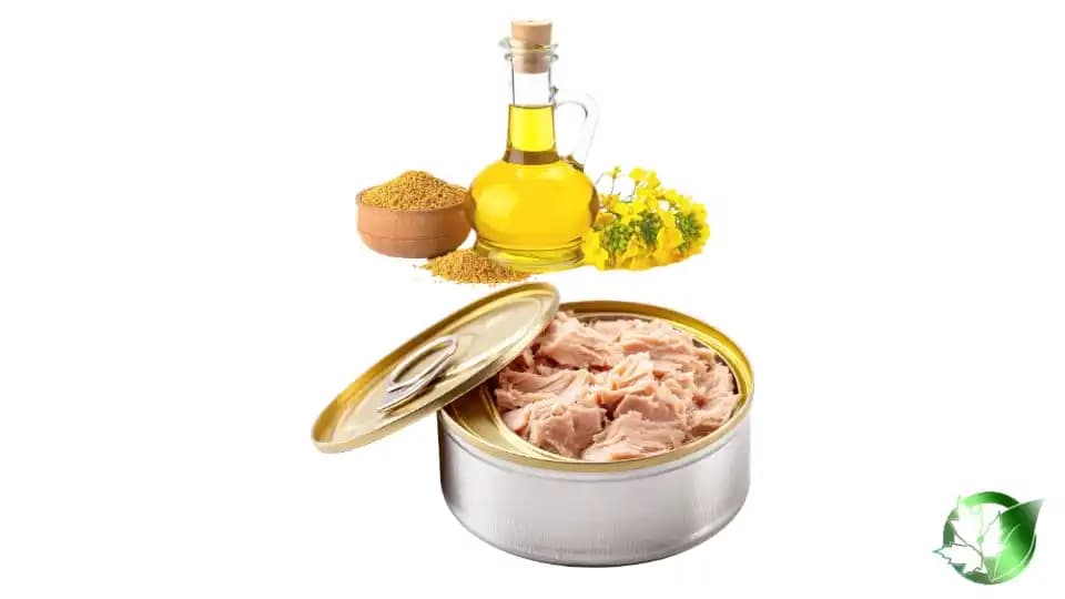 خرید عمده تن ماهی در روغن گیاهی
