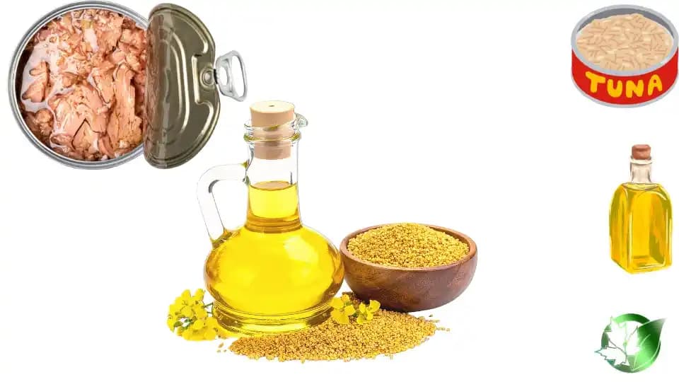 تن ماهی در روغن گیاهی - تصویر 4