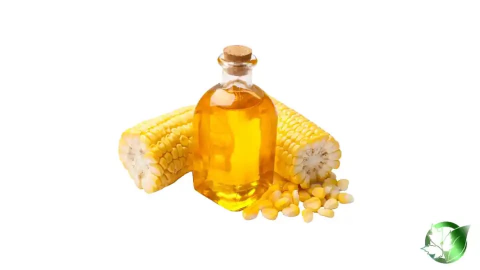 خرید عمده روغن ذرت