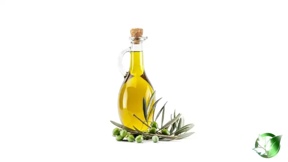 خرید عمده روغن زیتون