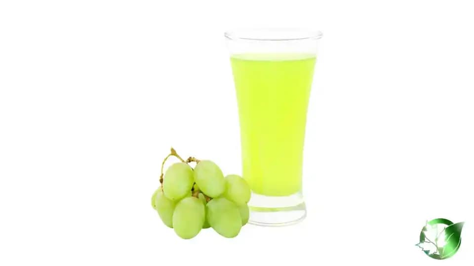 خرید عمده آبغوره