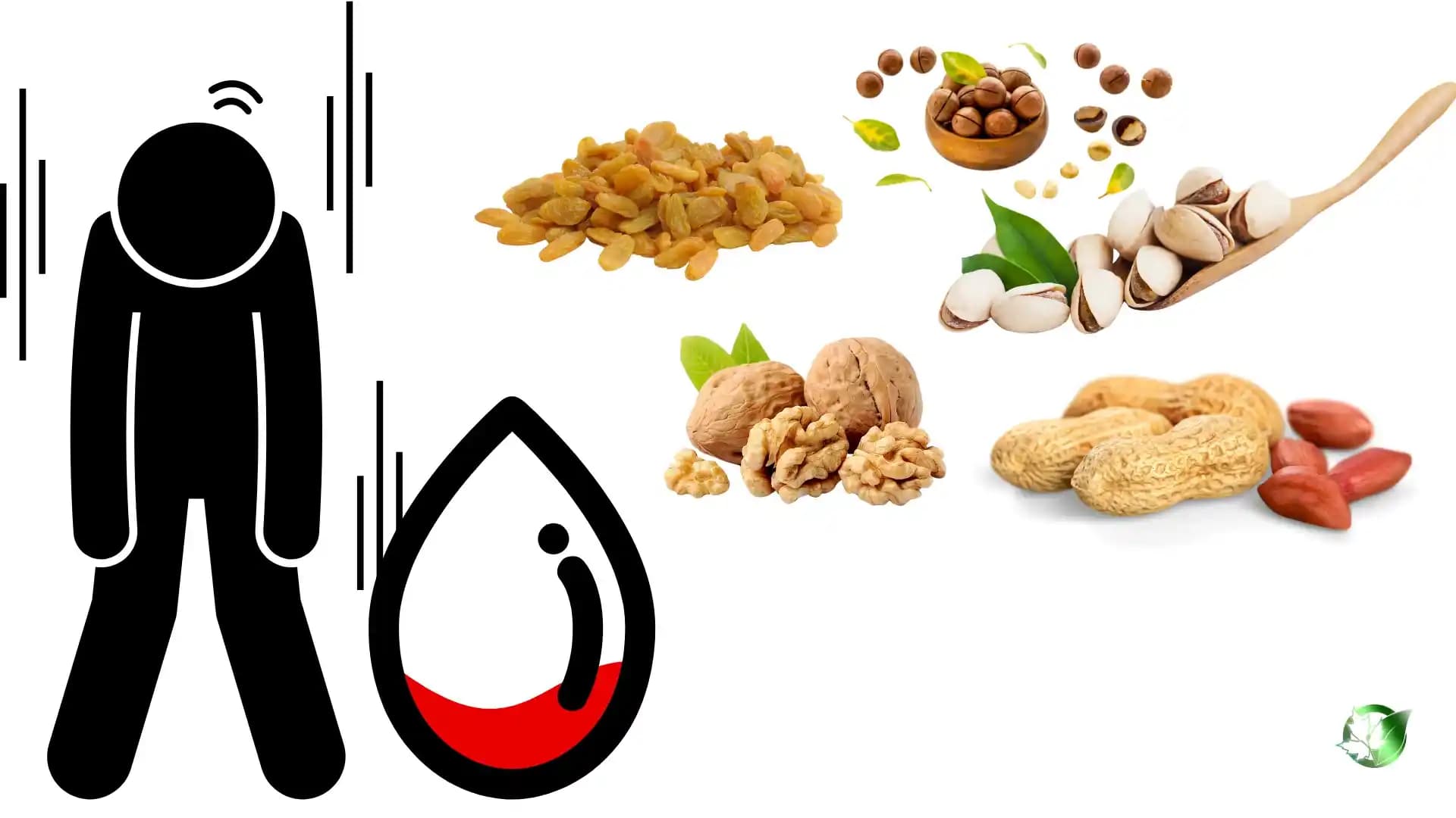 7 آجیل مقوی برای درمان سریع کم خونی