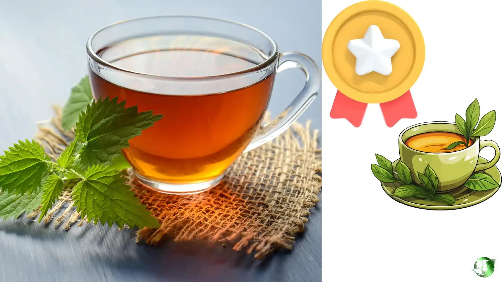 خواص عرق نعنا برای معده