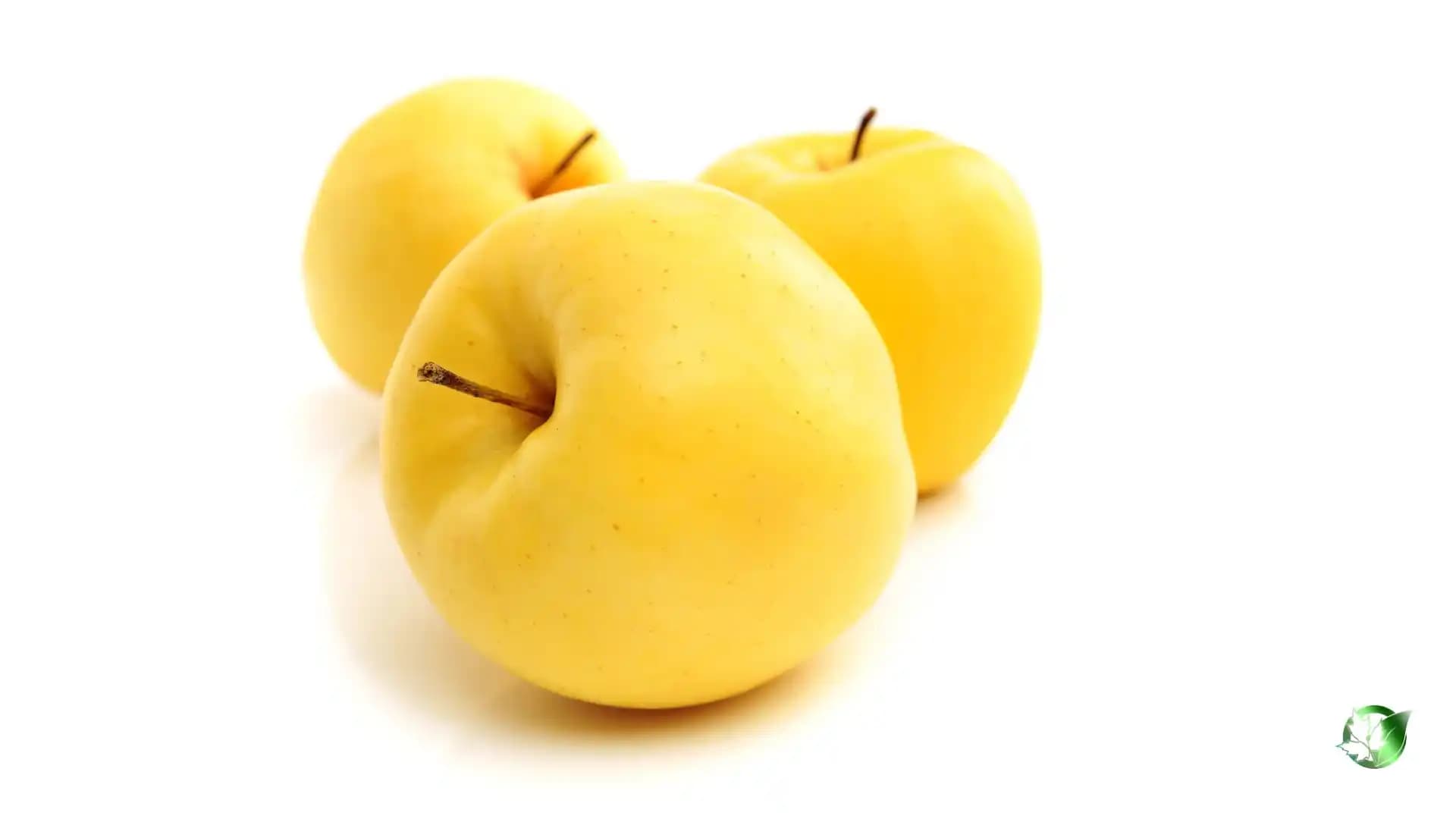 خرید سیب زرد تازه