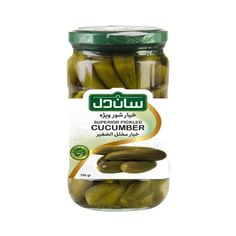 ترشی ساندل