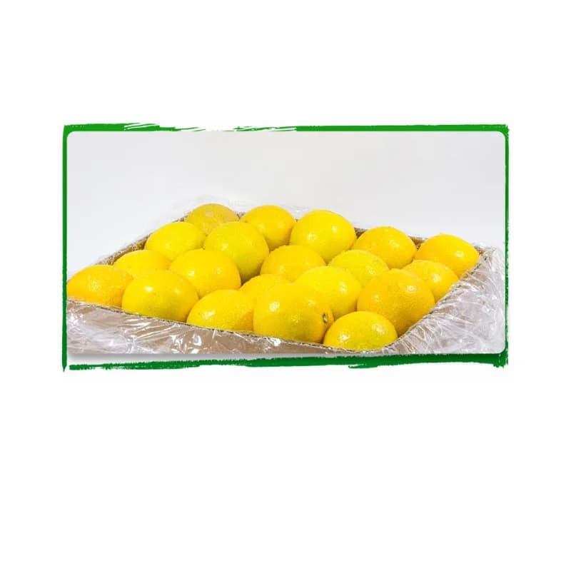 لیمو تازه تکارم