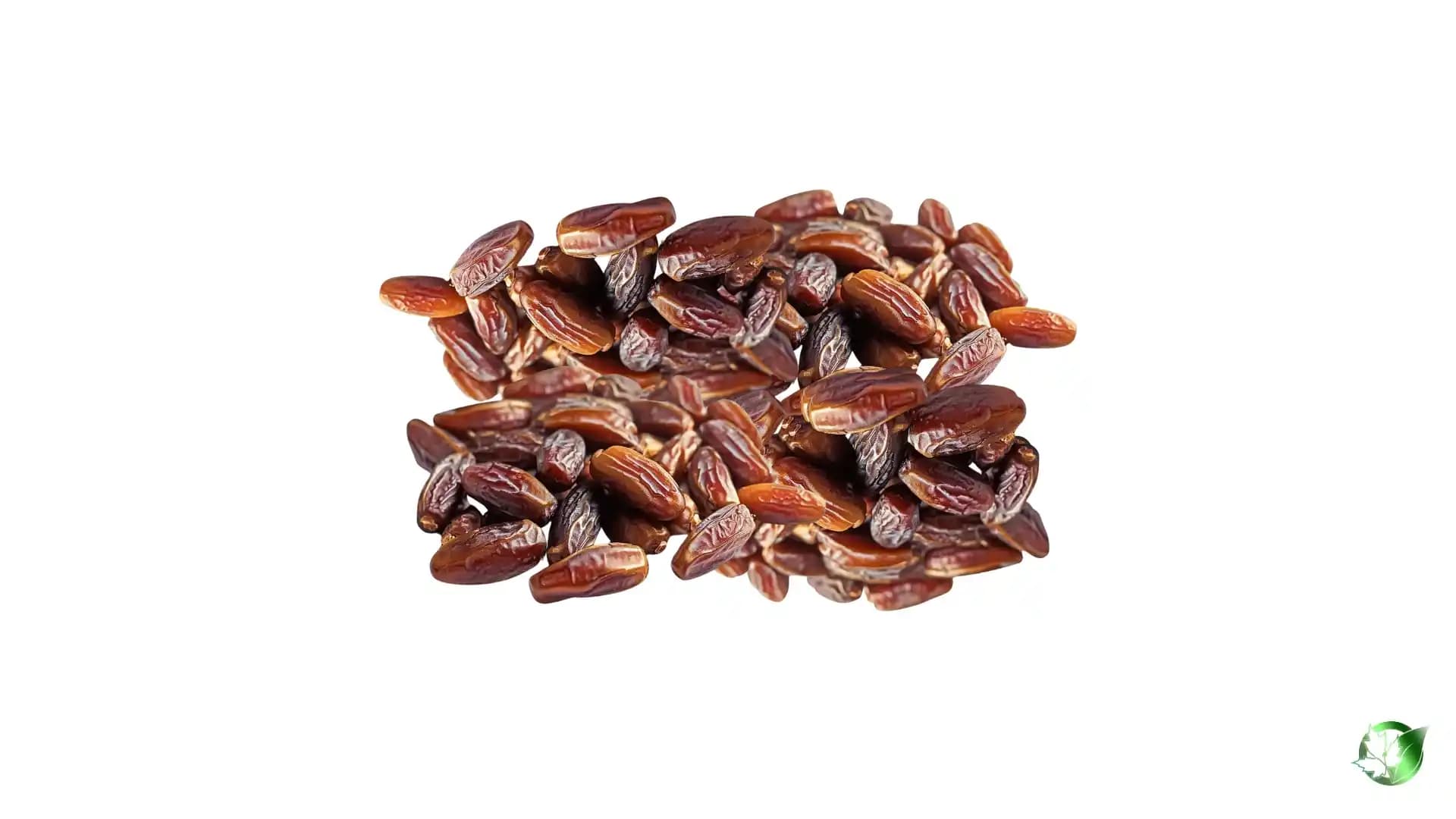 خرید عمده خرما ربی