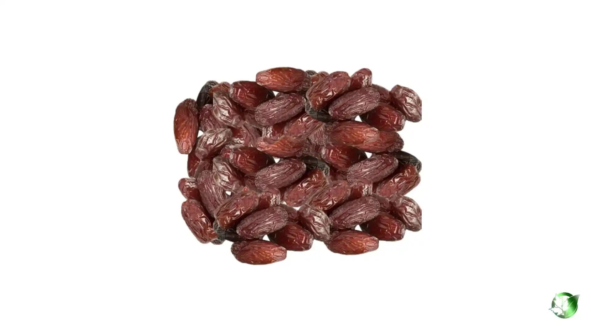 خرید عمده خرما دیری