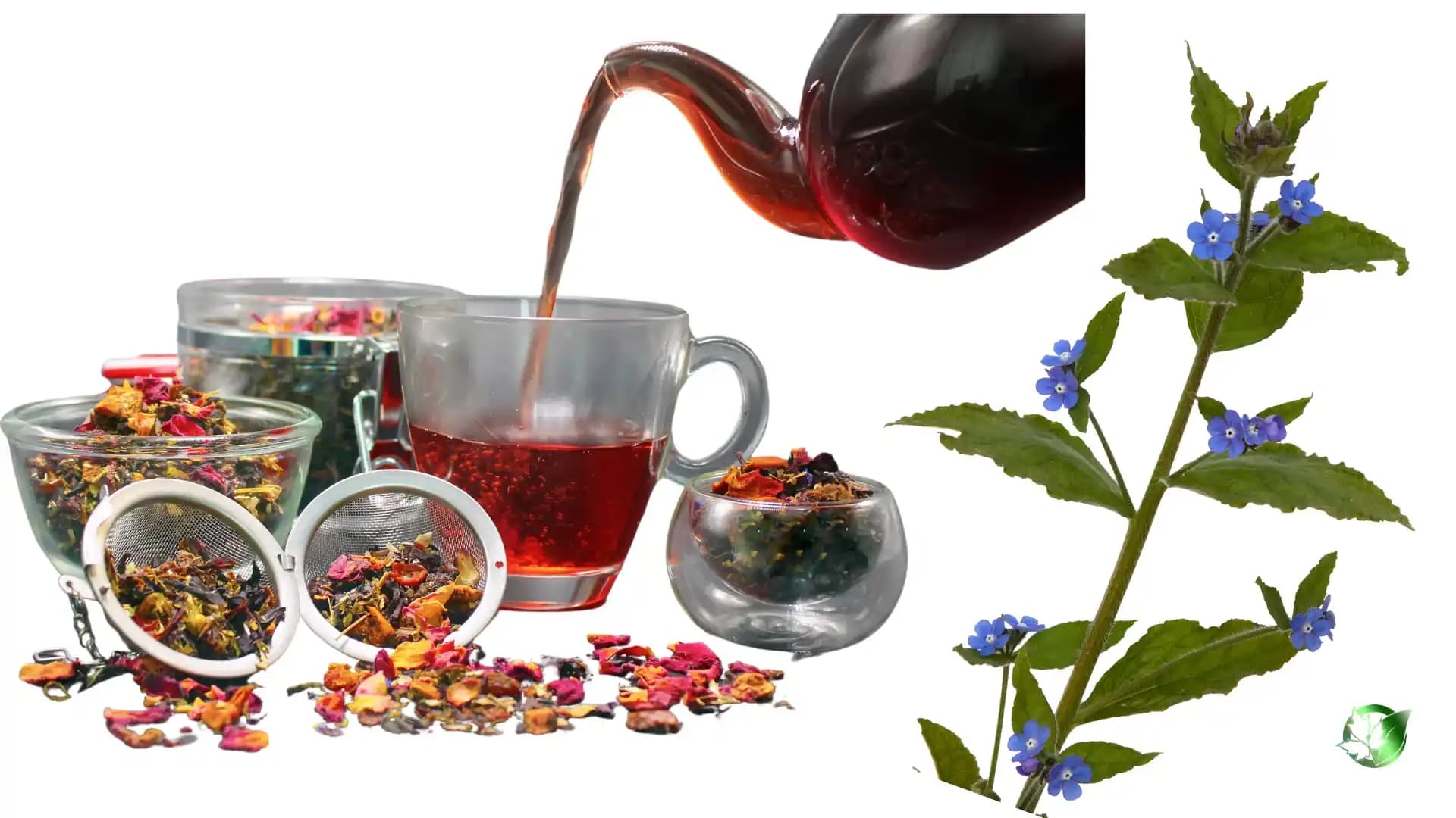 خواص دمنوش گل گاوزبان برای بدن