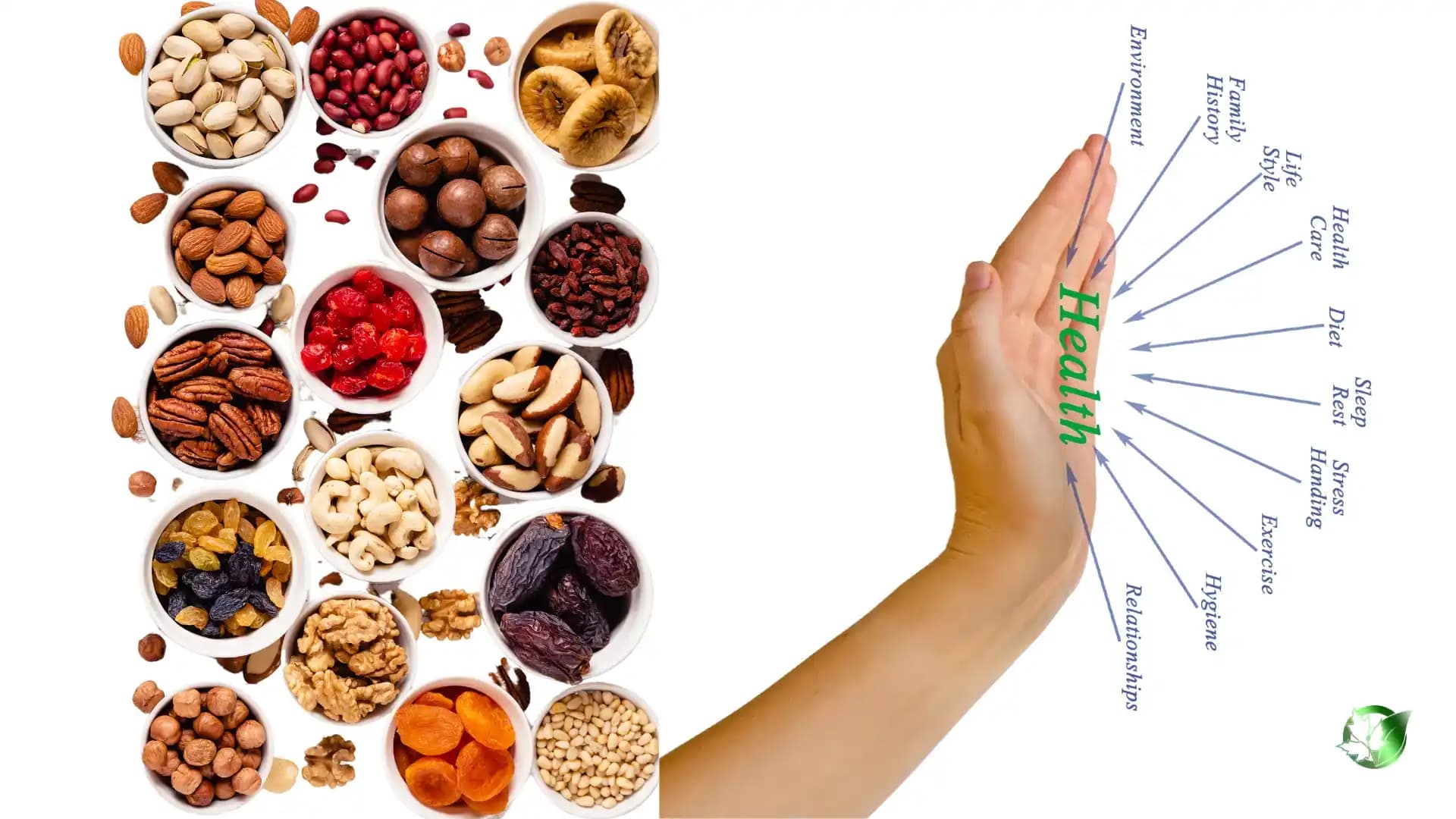 آیا میوه خشک یک میان وعده سالم است؟
