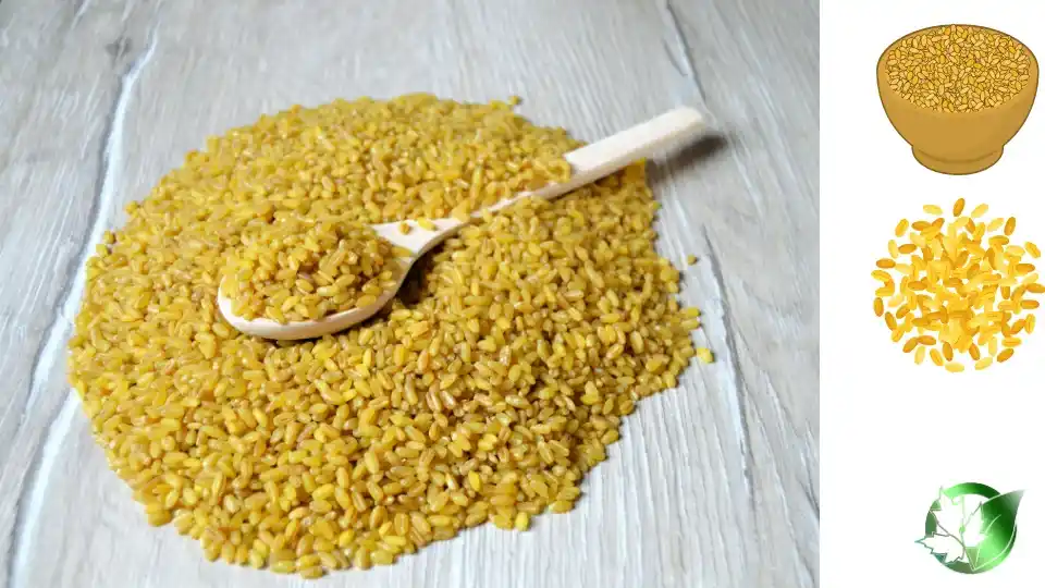قیمت عمده بلغور گندم