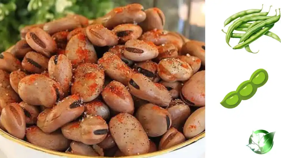 خرید عمده کنسرو باقلا فله