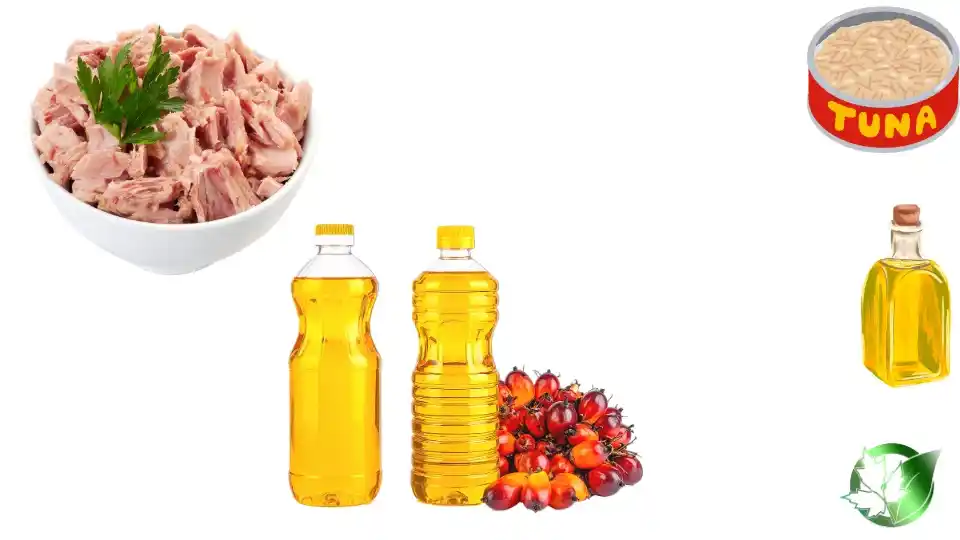 تن ماهی در روغن گیاهی فله