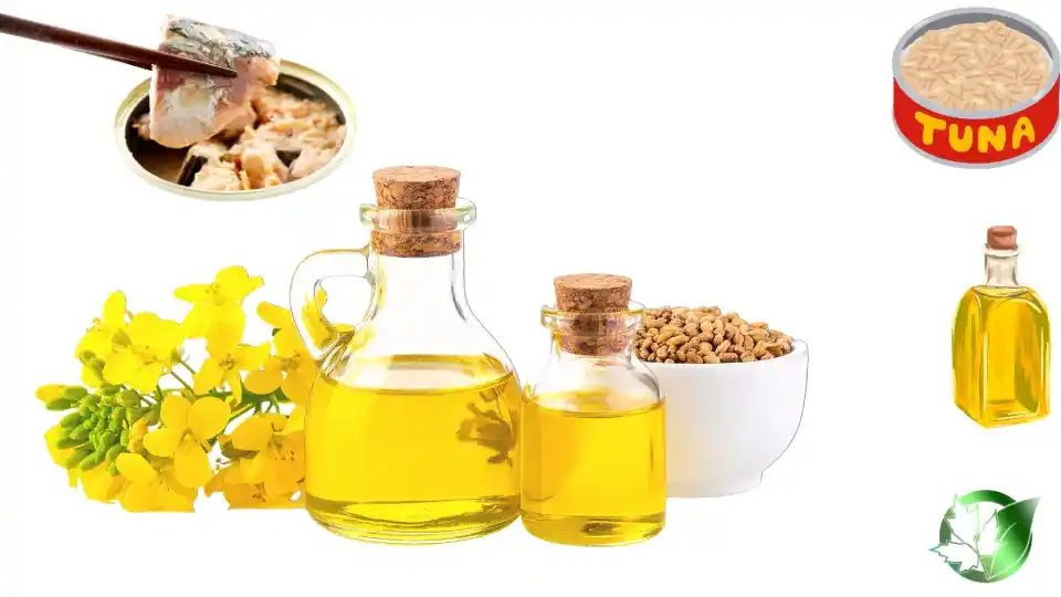 قیمت عمده تن ماهی در روغن گیاهی