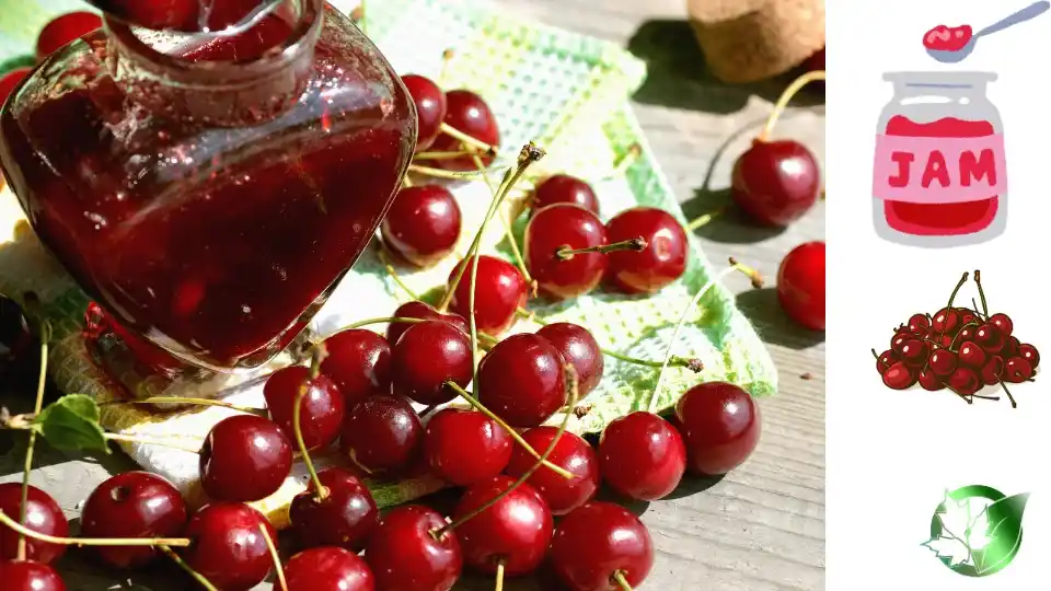 قیمت عمده مربای گیلاس