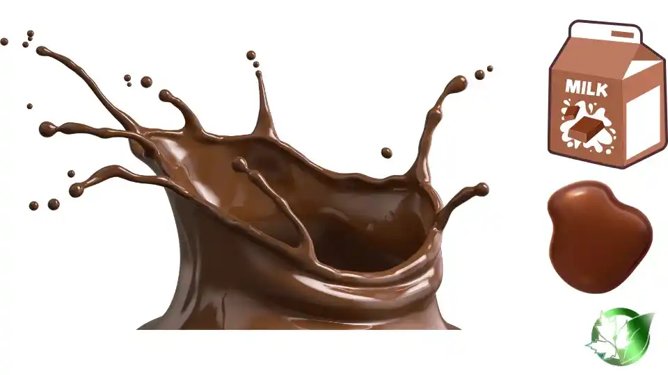 شیر کاکائو صادراتی