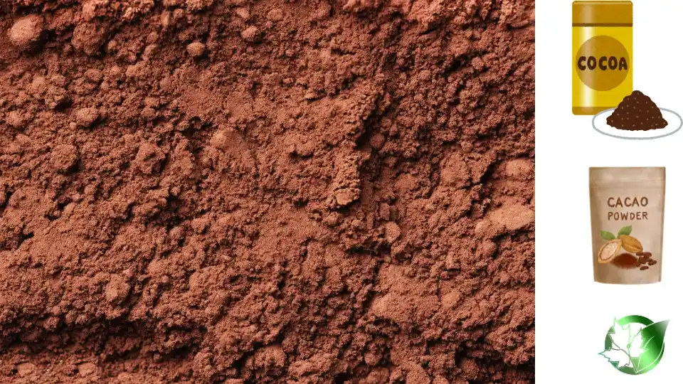 پودر کاکائو صادراتی