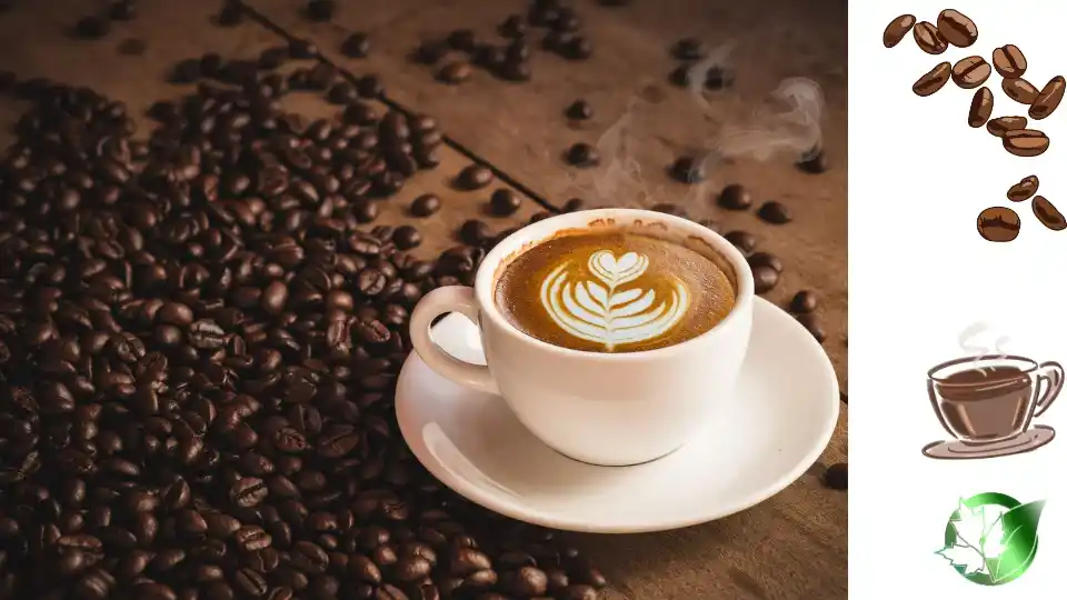 قیمت عمده قهوه