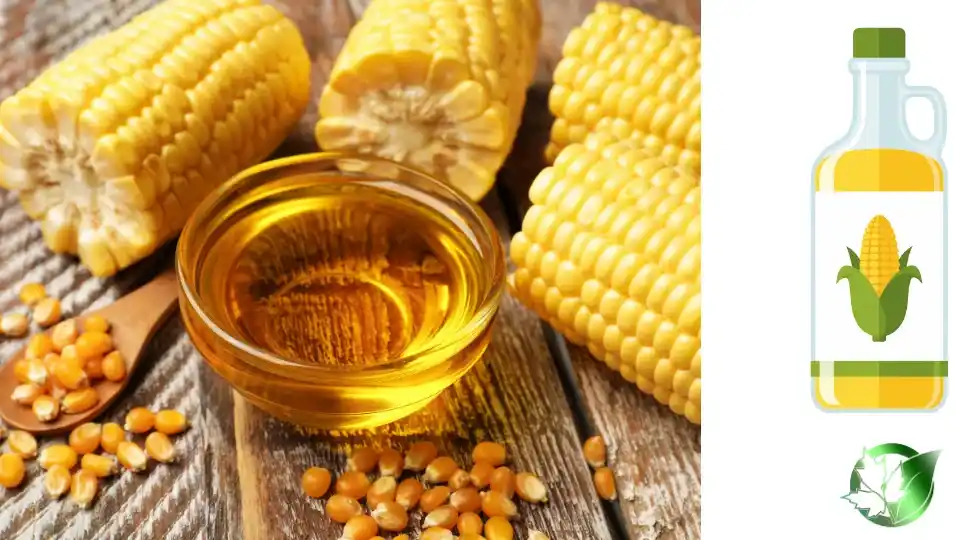 خرید عمده روغن ذرت فله