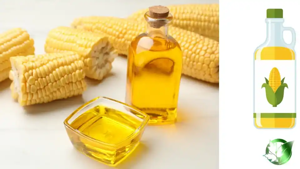 تامین کننده روغن ذرت