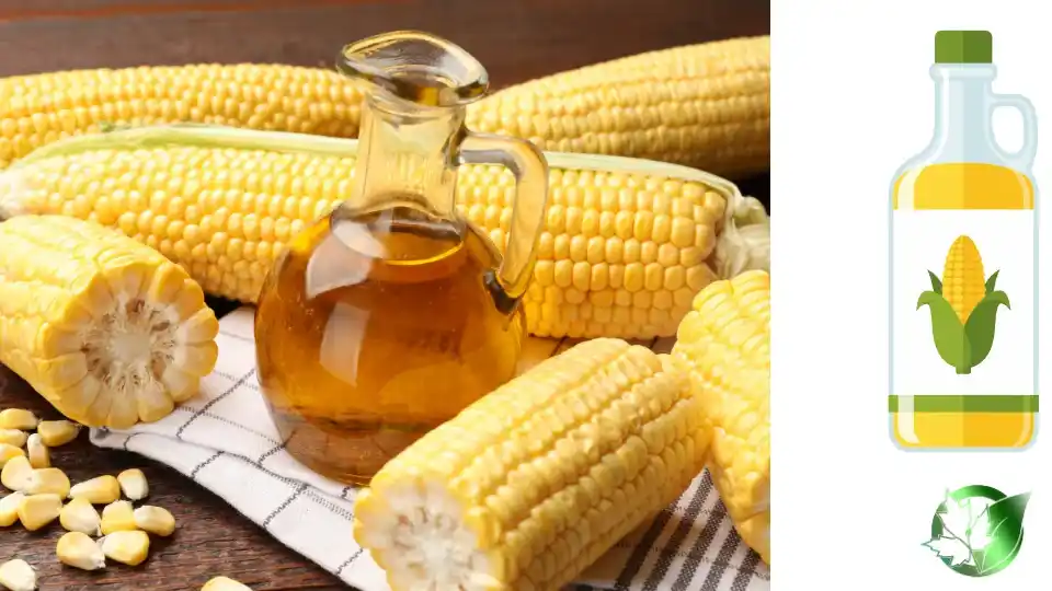 قیمت عمده روغن ذرت