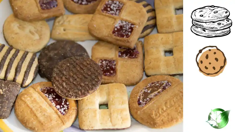 شیرینی خشک صادراتی