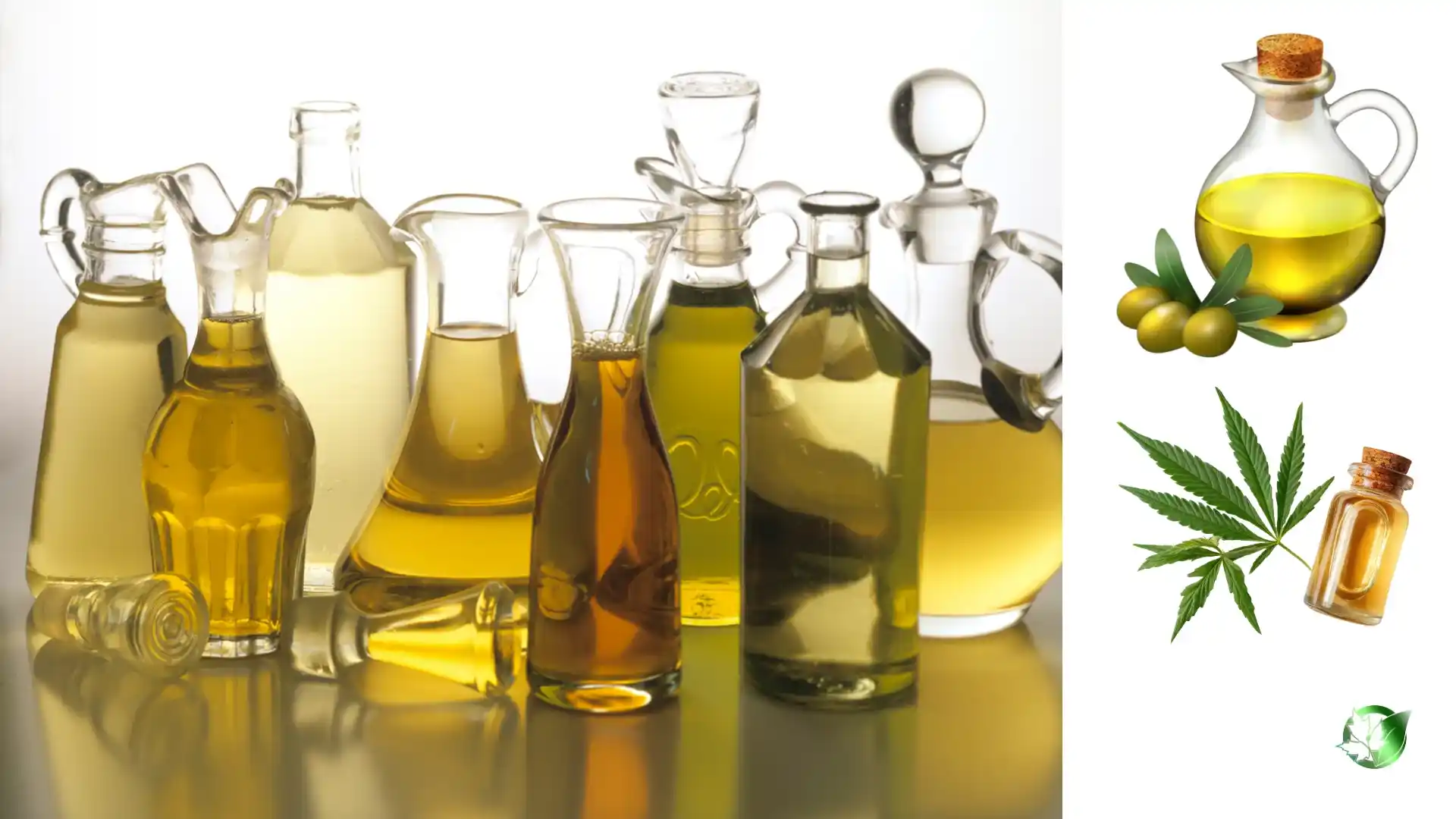 روغن خوراکی صادراتی