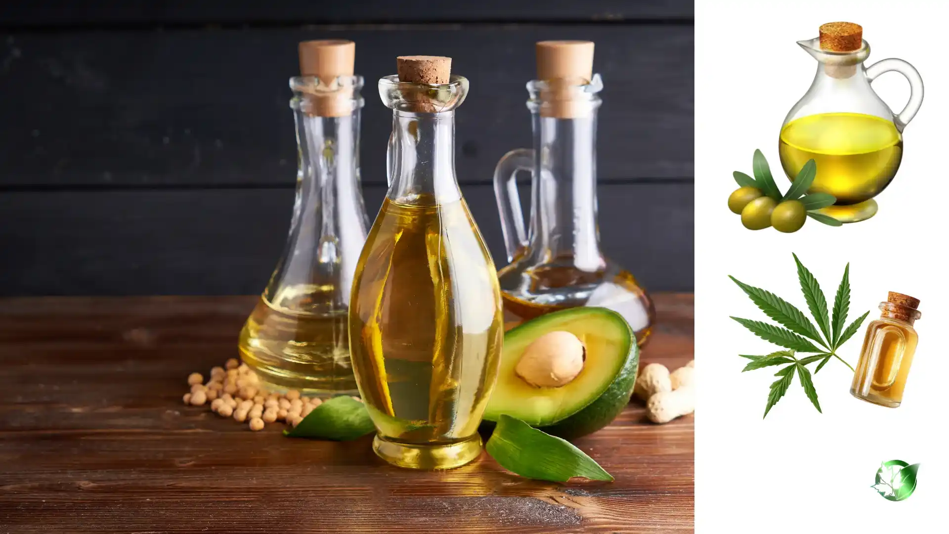 تامین کننده روغن خوراکی