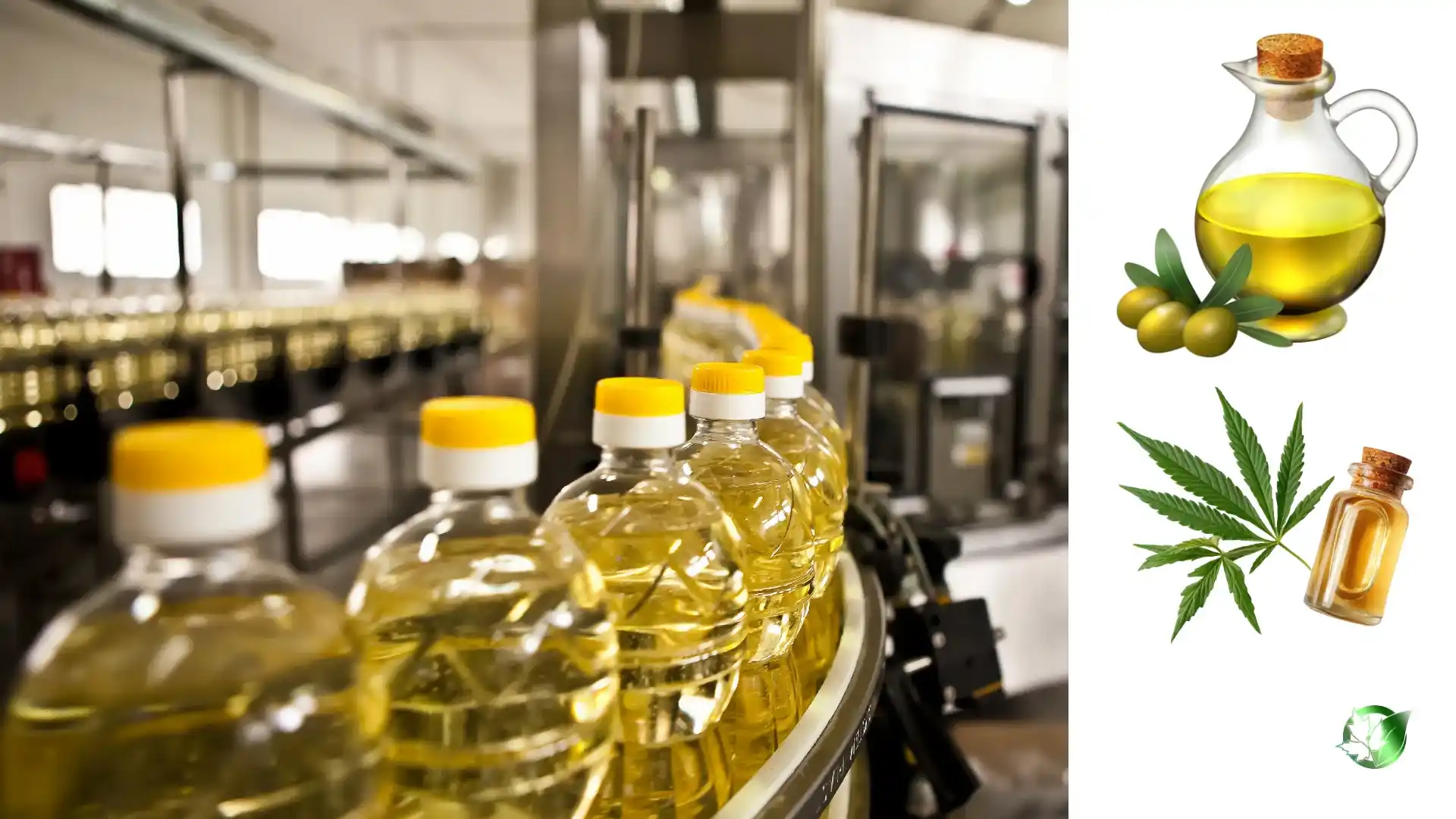 قیمت عمده روغن خوراکی