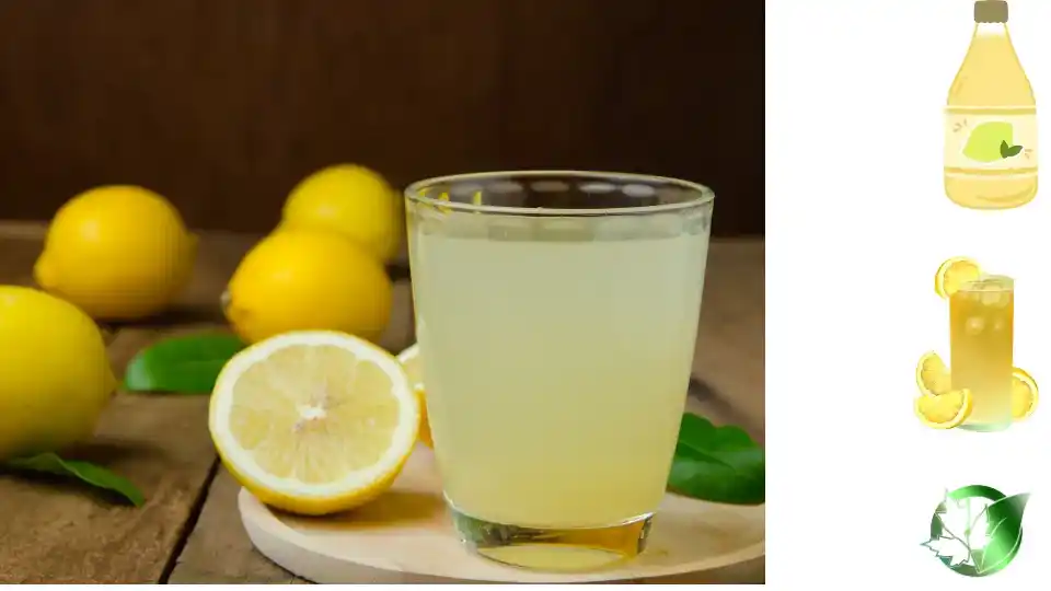 آبلیمو صادراتی