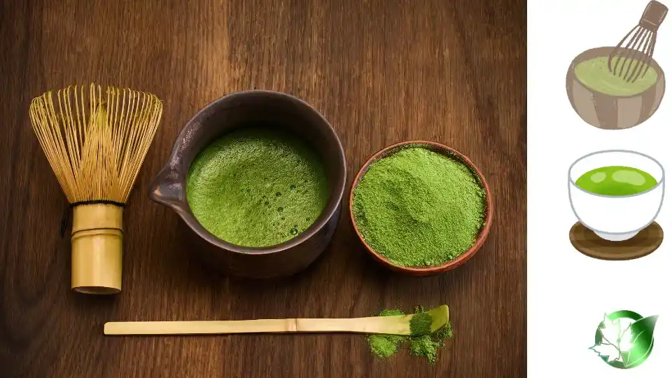 چای ماچا صادراتی