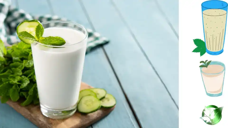 قیمت عمده دوغ نعناعی