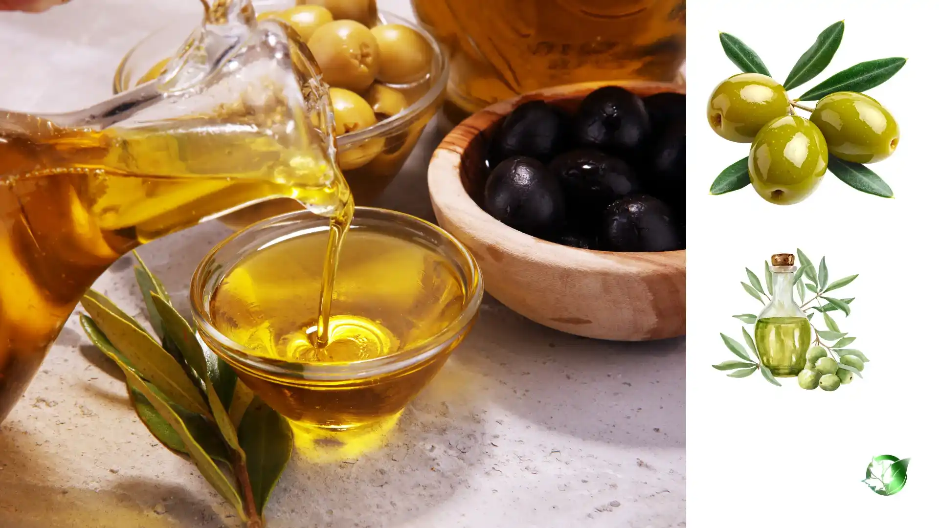 روغن زیتون صادراتی