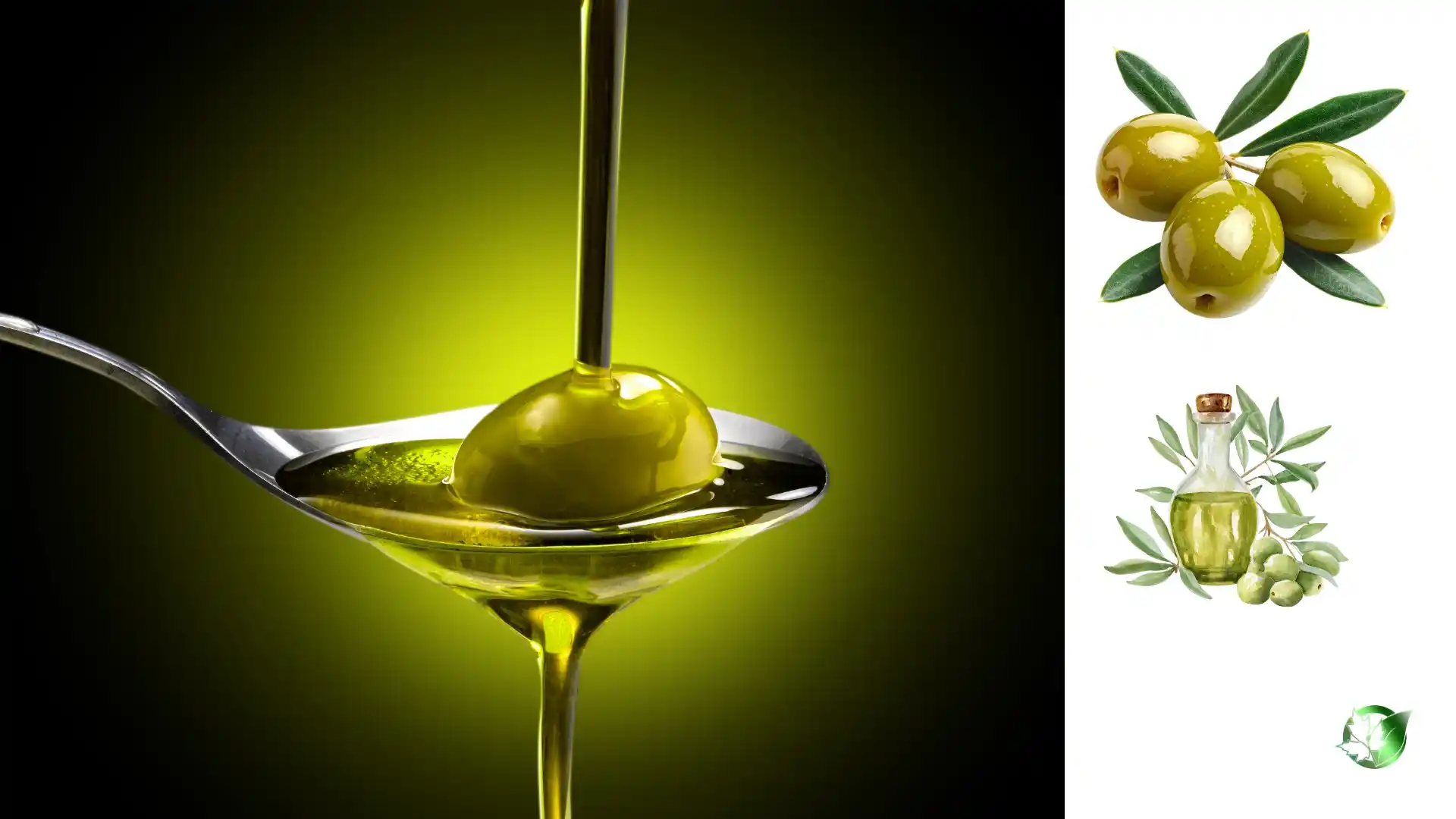 تامین کننده روغن زیتون