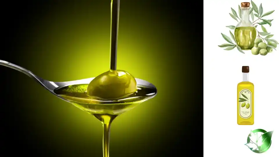 تامین کننده روغن زیتون