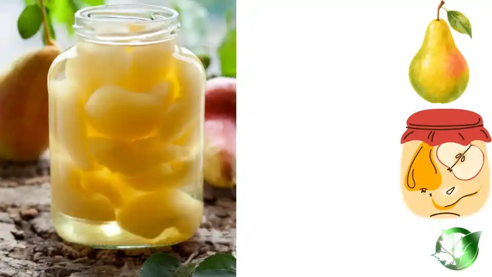 قیمت عمده کمپوت گلابی