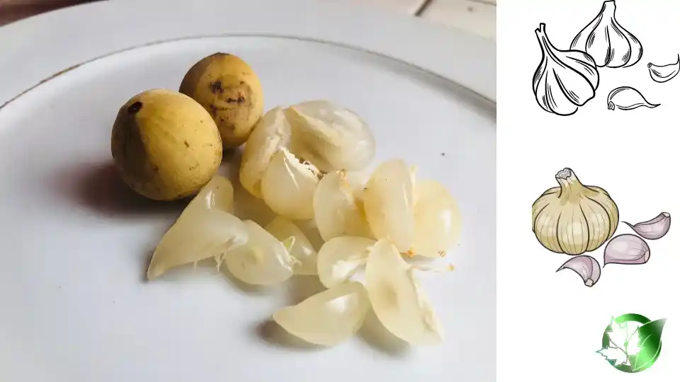 سیر ترشی فله