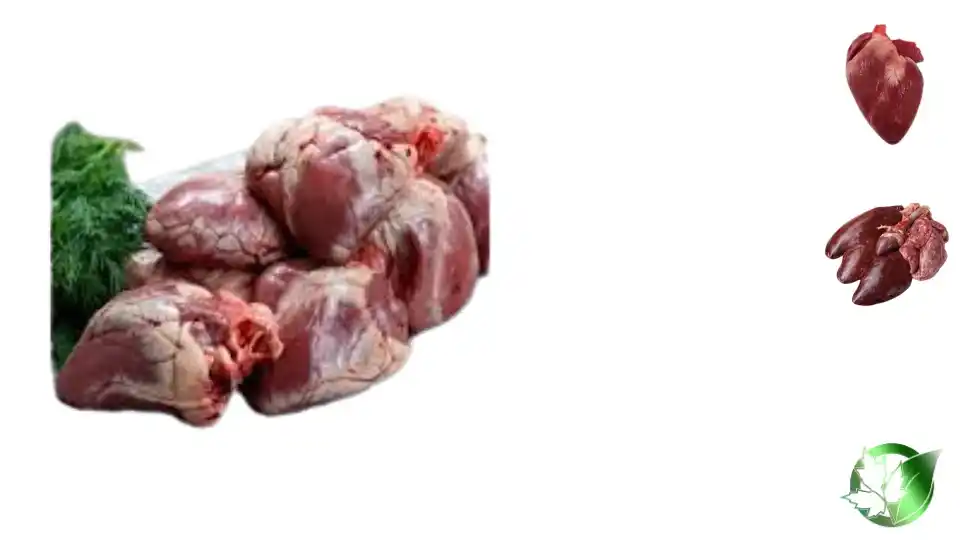 تامین کننده دل گوسفند
