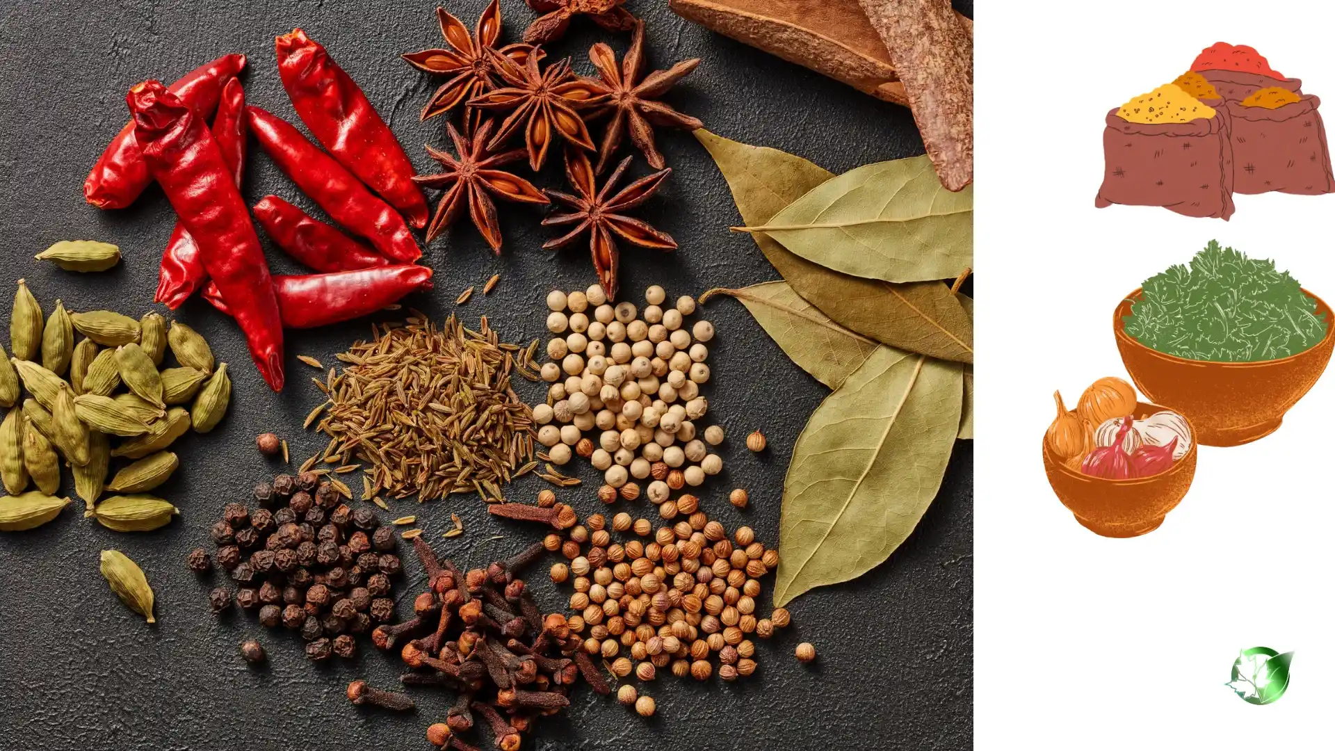 ادویه صادراتی