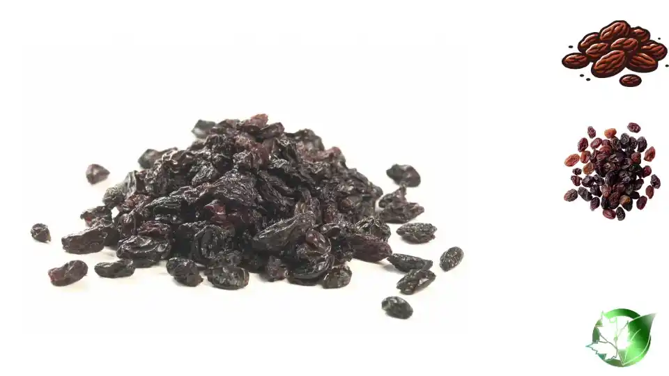 کشمش سبز صادراتی