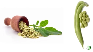 خرید عمده باقلا خشک
