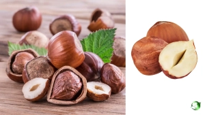 خرید عمده فندق