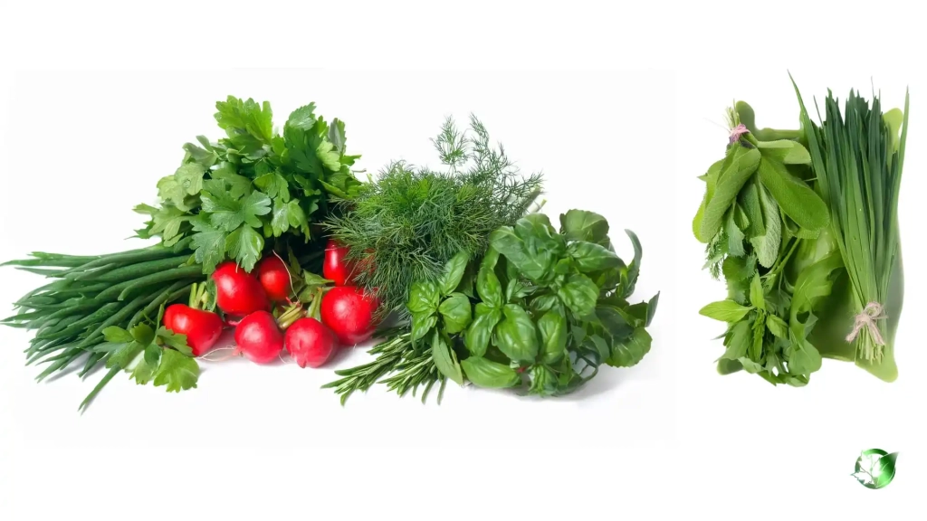 خرید عمده سبزی خوردن تازه
